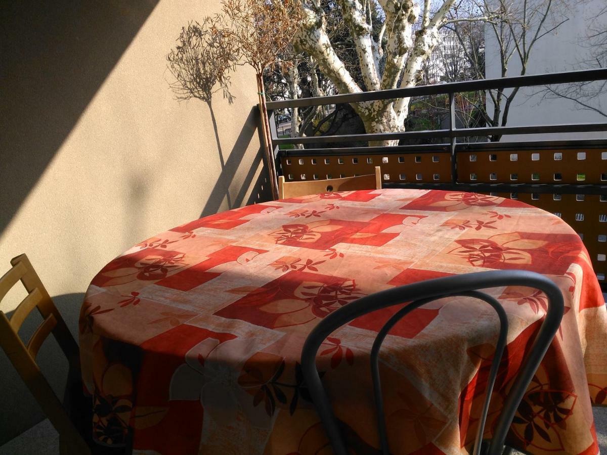 Appartement F3 Avec Parking Privee Saint-Priest  Dış mekan fotoğraf