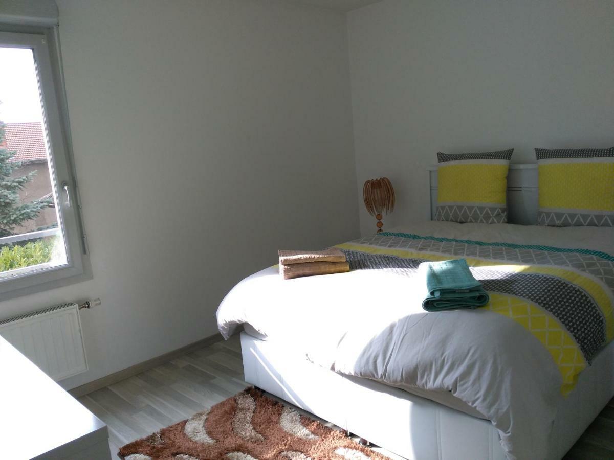 Appartement F3 Avec Parking Privee Saint-Priest  Dış mekan fotoğraf