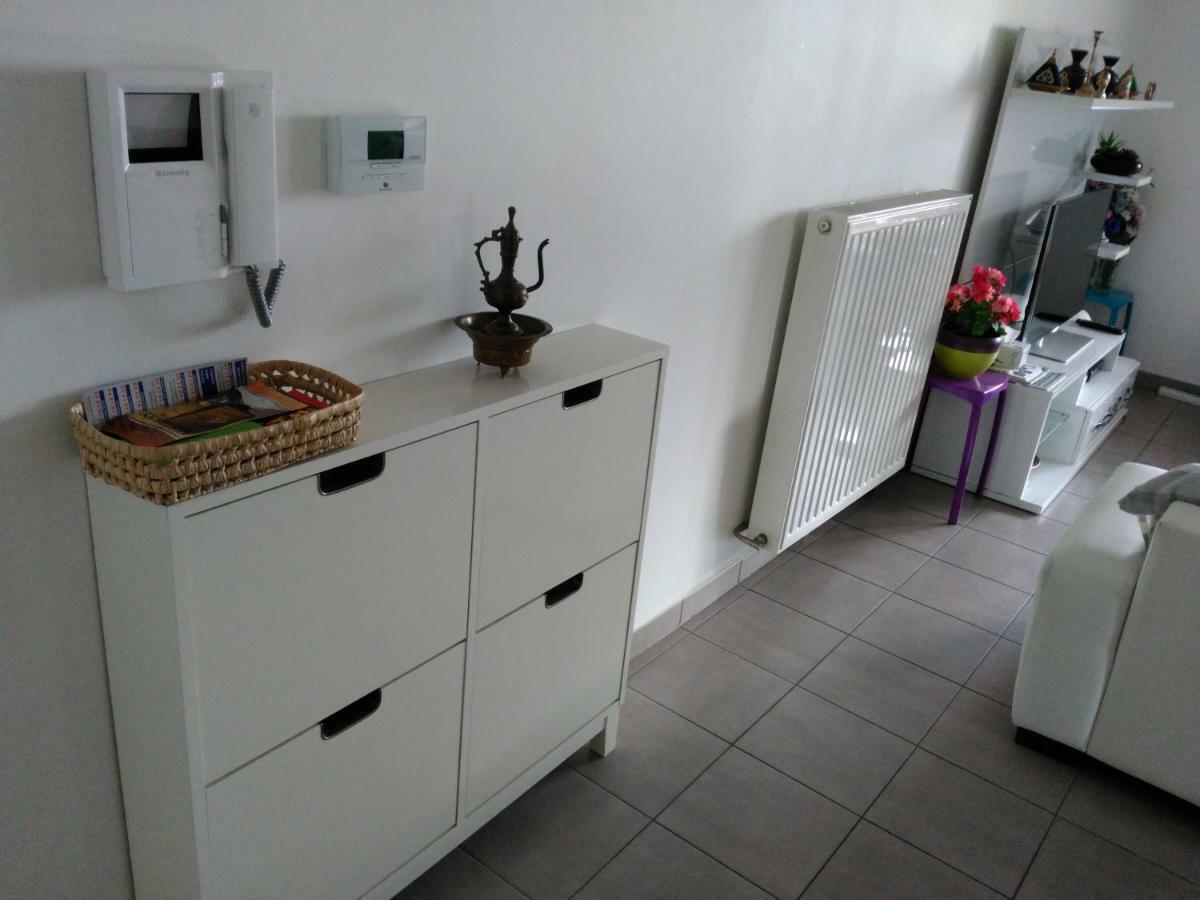 Appartement F3 Avec Parking Privee Saint-Priest  Dış mekan fotoğraf